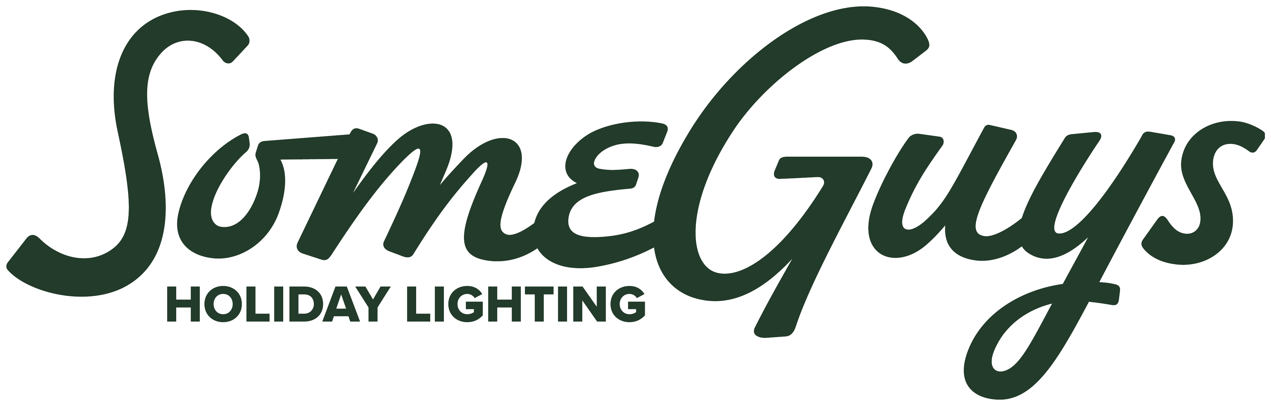 Some Guys Holiday Lighting